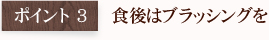 ポイント3 食後はブラッシングを